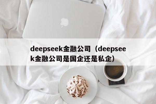 deepseek金融公司（deepseek金融公司是国企还是私企）