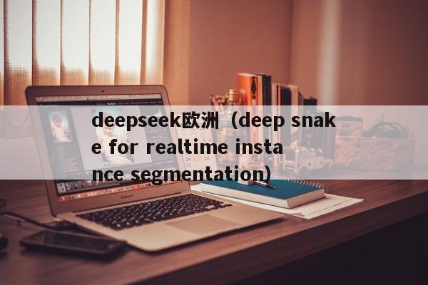 deepseek欧洲（deep snake for realtime instance segmentation）