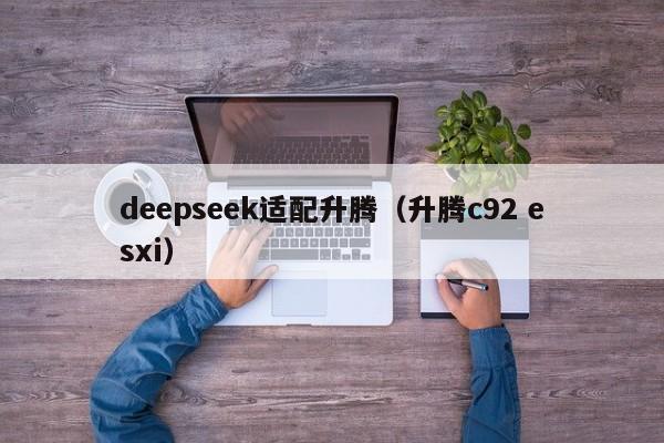 deepseek适配升腾（升腾c92 esxi）