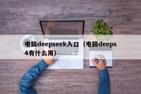 电脑deepseek入口（电脑deeps4有什么用）