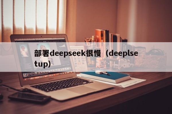 部署deepseek很慢（deeplsetup）