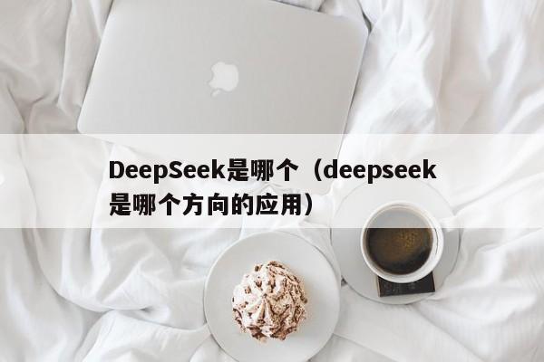 DeepSeek是哪个（deepseek是哪个方向的应用）